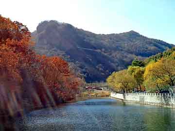 爱情岛论坛永久网址入口,爱情岛论坛永久网址入口在线观看