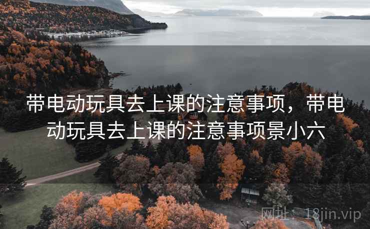 带电动玩具去上课的注意事项,带电动玩具去上课的注意事项景小六 带电动玩具去上课的注意事项,带电动玩具去上课的注意事项景小六