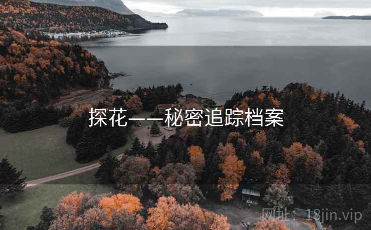 探花——秘密追踪档案