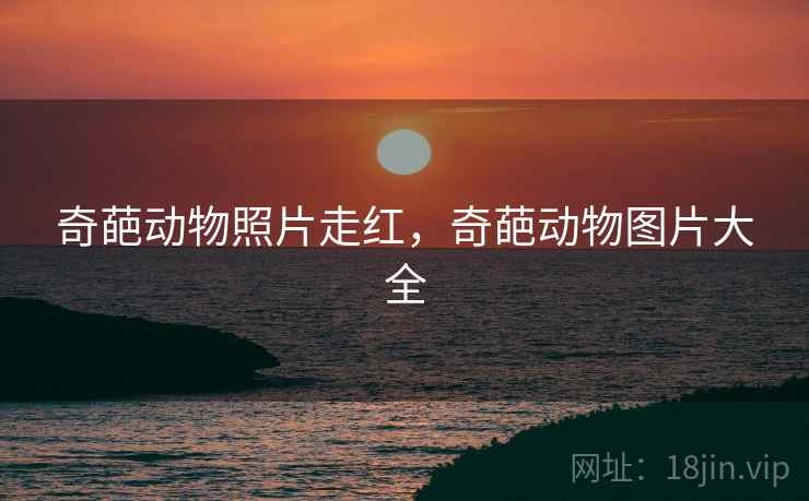奇葩动物照片走红,奇葩动物图片大全 奇葩动物照片走红,奇葩动物图片大全