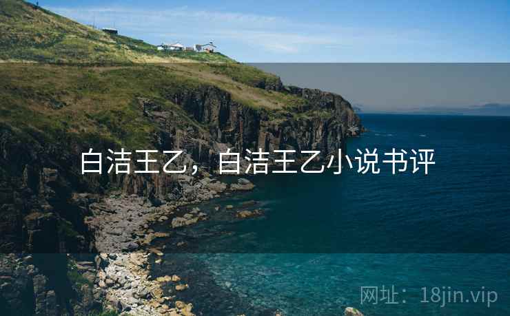 白洁王乙,白洁王乙小说书评 白洁王乙,白洁王乙小说书评