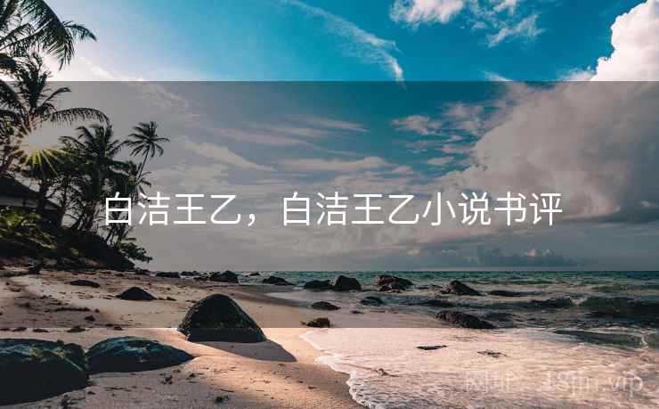 白洁王乙，白洁王乙小说书评