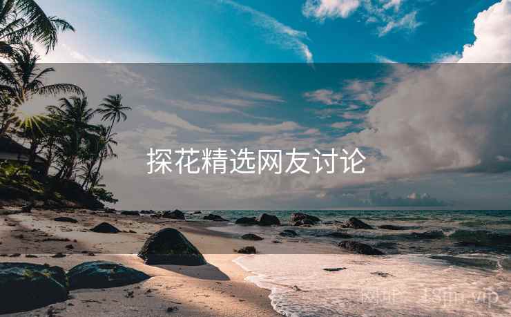 探花精选网友讨论