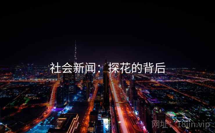 社会新闻:探花的背后 社会新闻:探花的背后