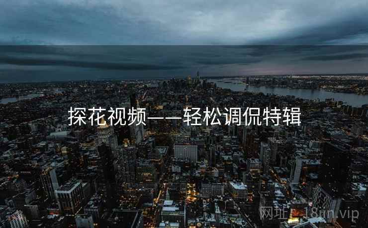 探花视频——轻松调侃特辑