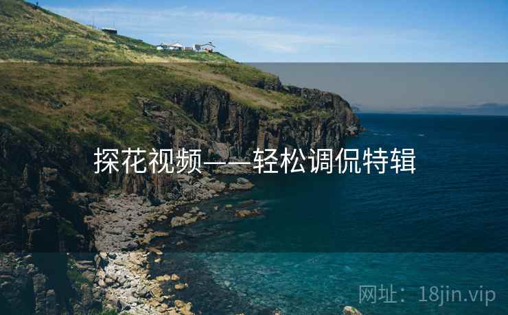 探花视频——轻松调侃特辑 探花视频——轻松调侃特辑